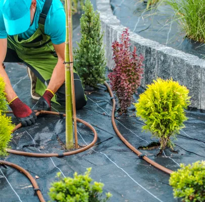 arrossage automatique à Benais près de Bourgueil en Indre-et-Loire 37