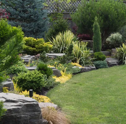 création de massif paysagers à Benais près de Bourgueil en Indre-et-Loire 37